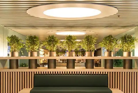 VIP Lounge — 4
