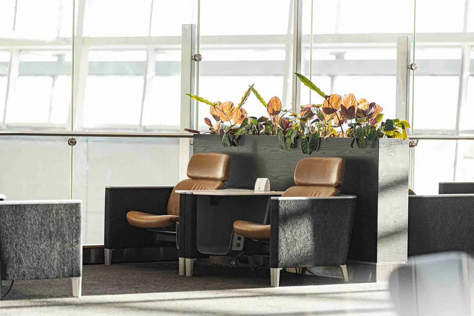 Aspire Lounge Transborder — 5